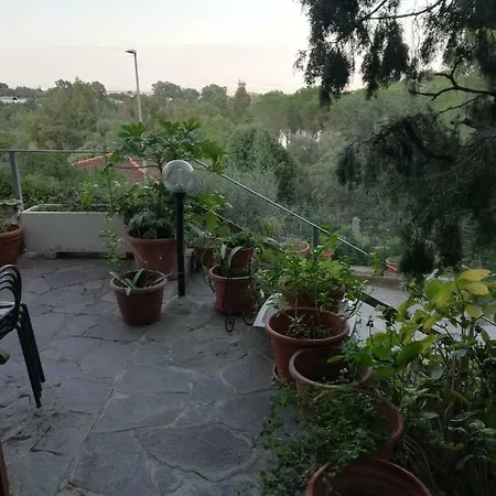 Dei Ginepri *