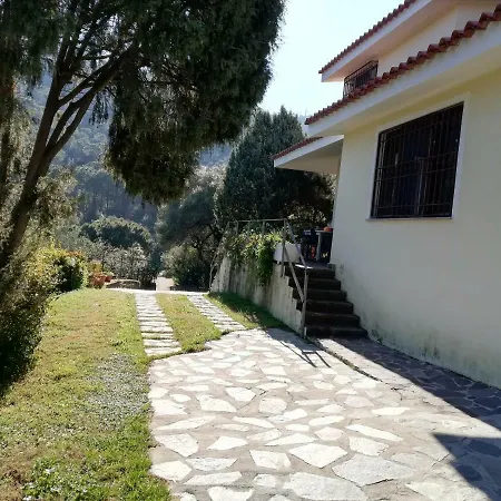 Dei Ginepri *